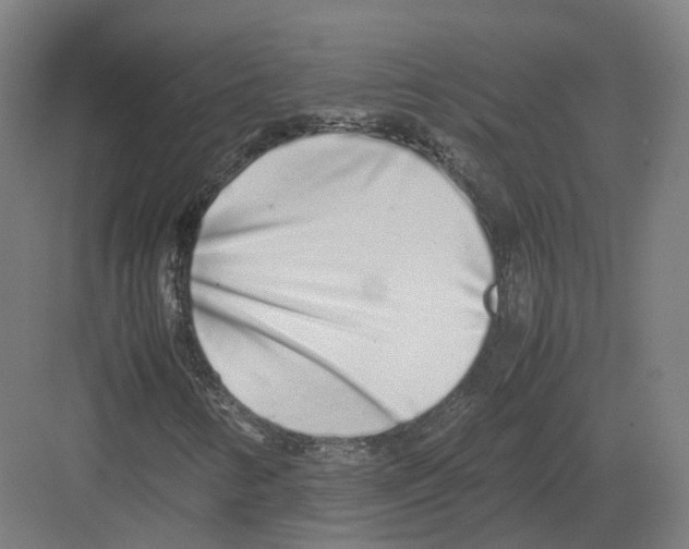 X0000082151346200702162158