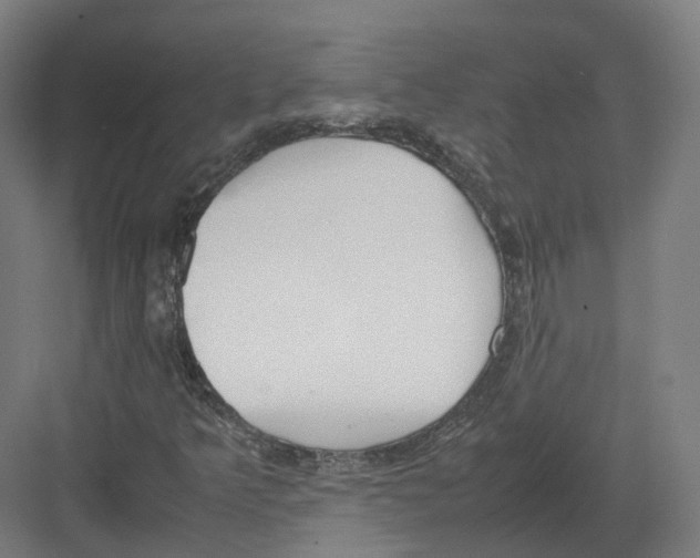 X0000082151349200702162158