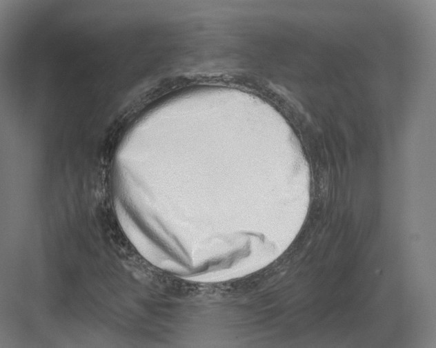 X0000082151350200702162158