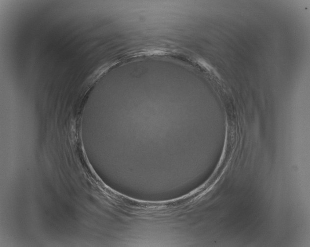 X0000082151353200702162158