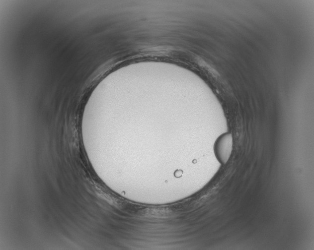 X0000082151354200702162158