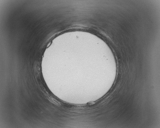 X0000082151355200702162158