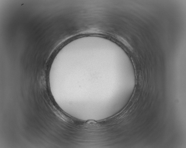 X0000082151356200702162158