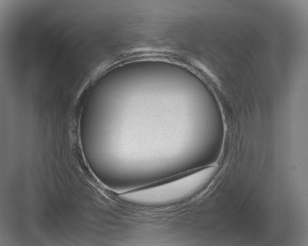 X0000082151357200702162158