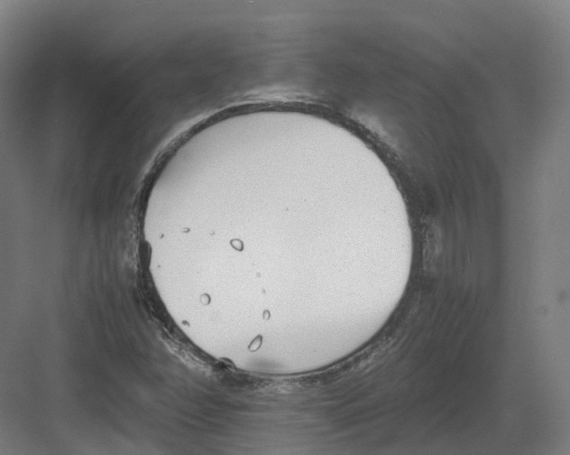 X0000082151358200702162158