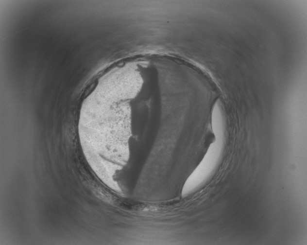 X0000082151359200702162158