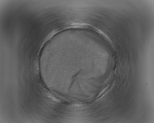 X0000082151362200702162157