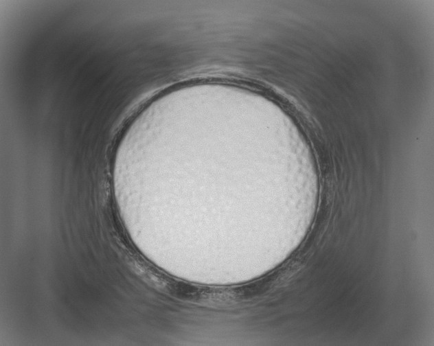 X0000082151363200702162157