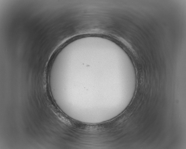 X0000082151364200702162157