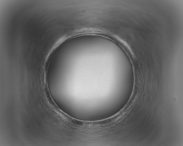 X0000082151365200702162157