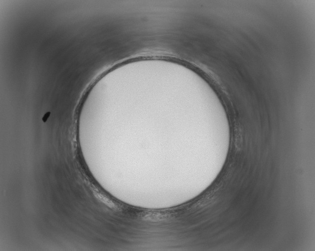 X0000082151366200702162157