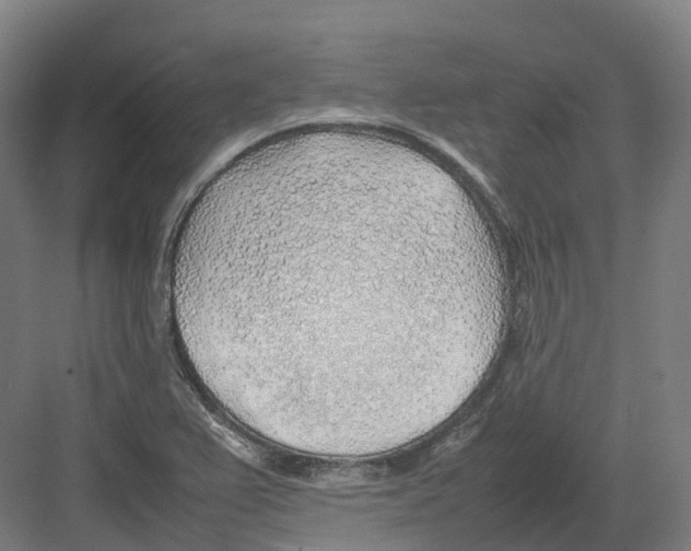 X0000082151367200702162157