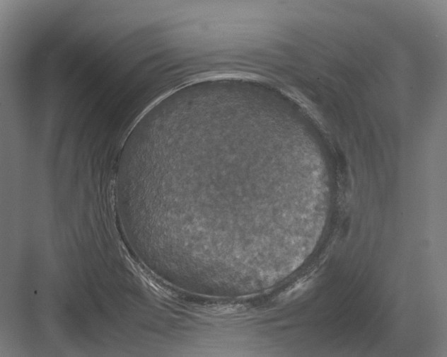 X0000082151369200702162157