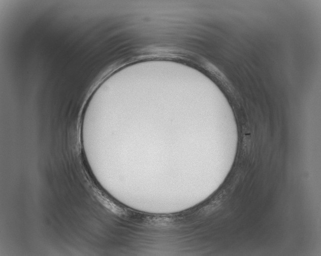 X0000082151370200702162157