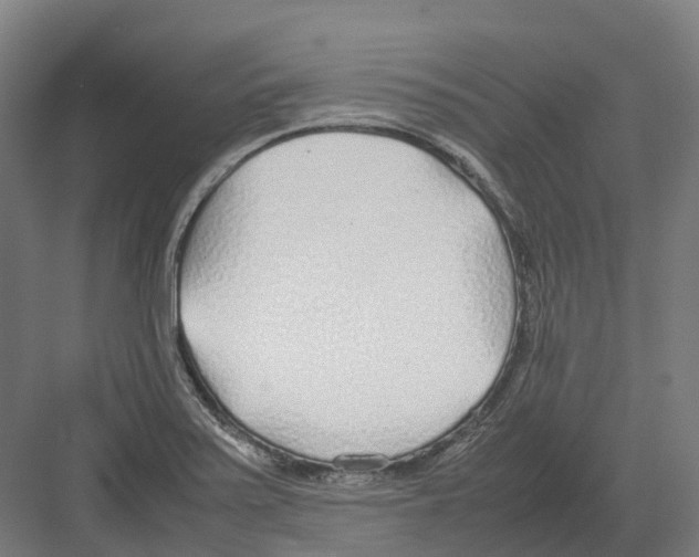 X0000082151371200702162157