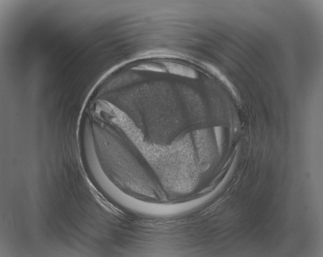 X0000082151372200702162157