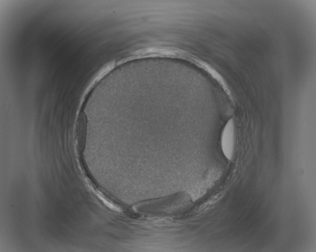 X0000082151373200702162157