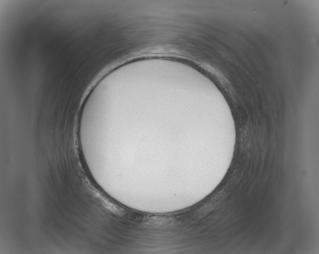 X0000082151374200702162157