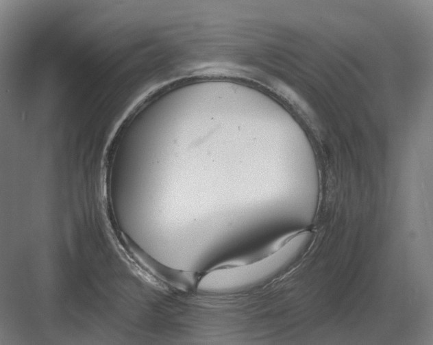 X0000082151376200702162157