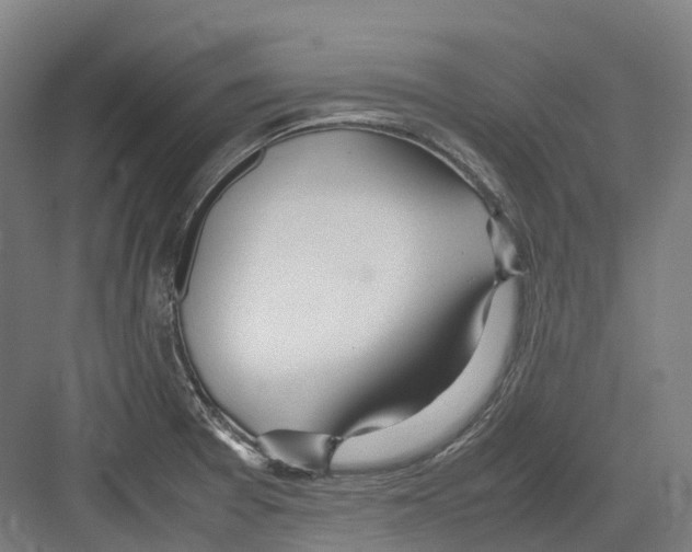 X0000082151377200702162157