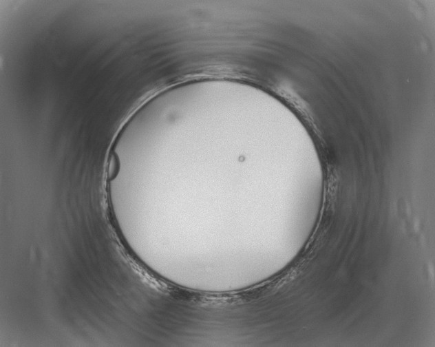 X0000082151378200702162157