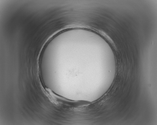 X0000082151380200702162157