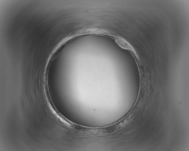 X0000082151381200702162157