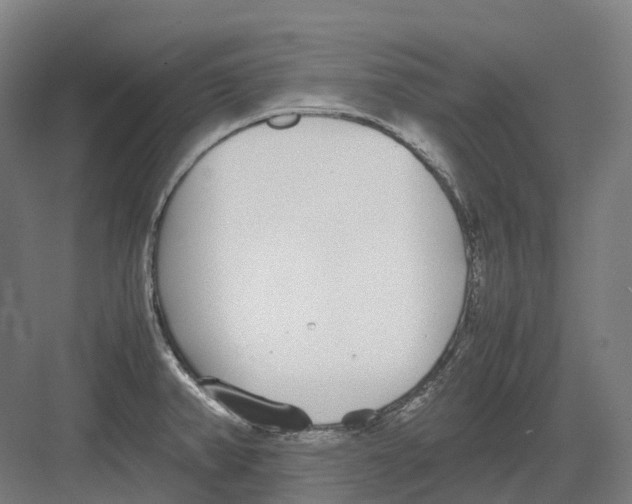 X0000082151382200702162157