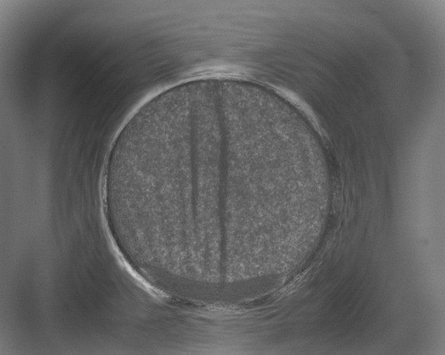 X0000082151383200702162157