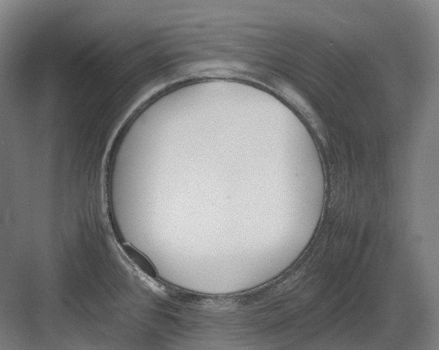 X0000082151384200702162157