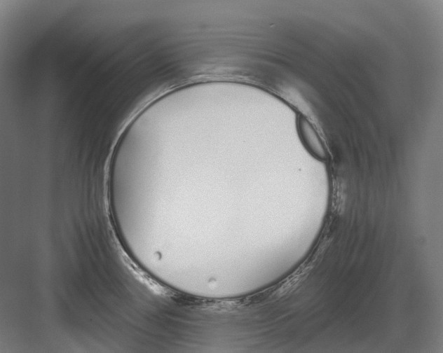 X0000082151386200702162157