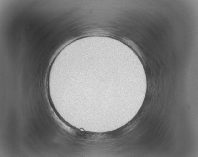 X0000082151387200702162157