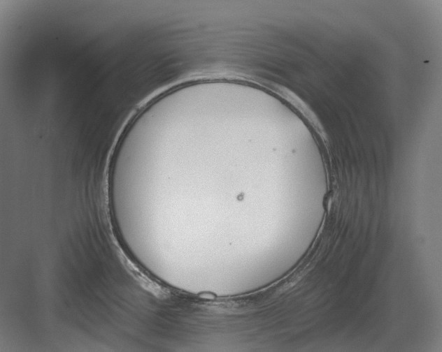 X0000082151388200702162157