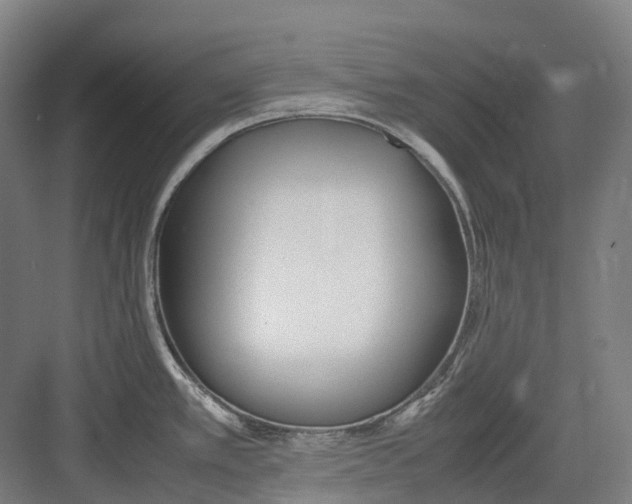 X0000082151389200702162157