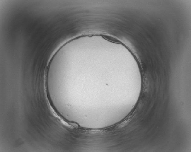 X0000082151390200702162157