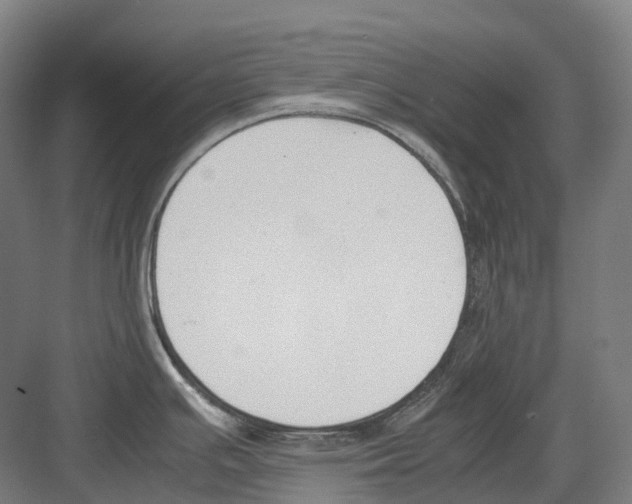 X0000082151391200702162157