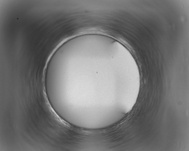 X0000082151392200702162157