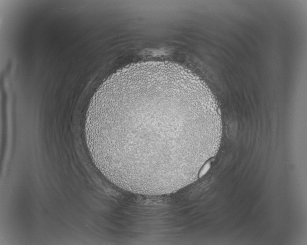 X0000082151393200702162156