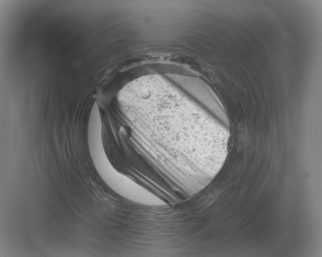 X0000082151394200702162156