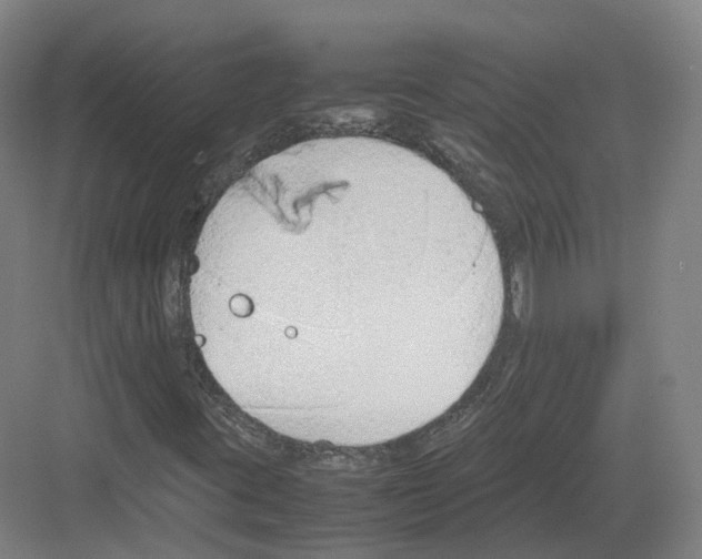 X0000082151395200702162156