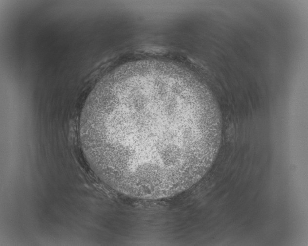 X0000082151397200702162156