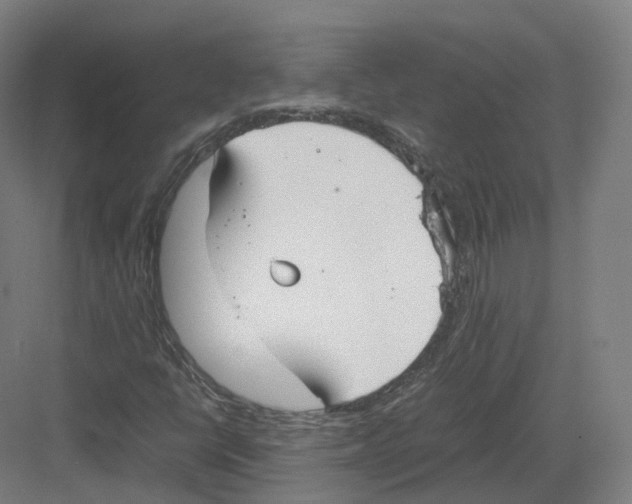 X0000082151398200702162156