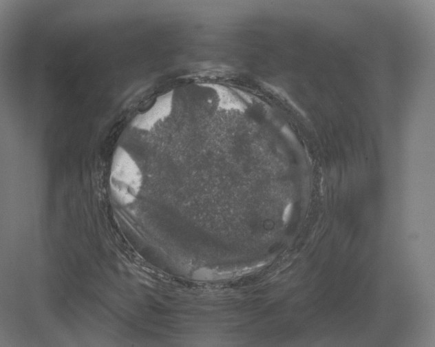 X0000082151399200702162156