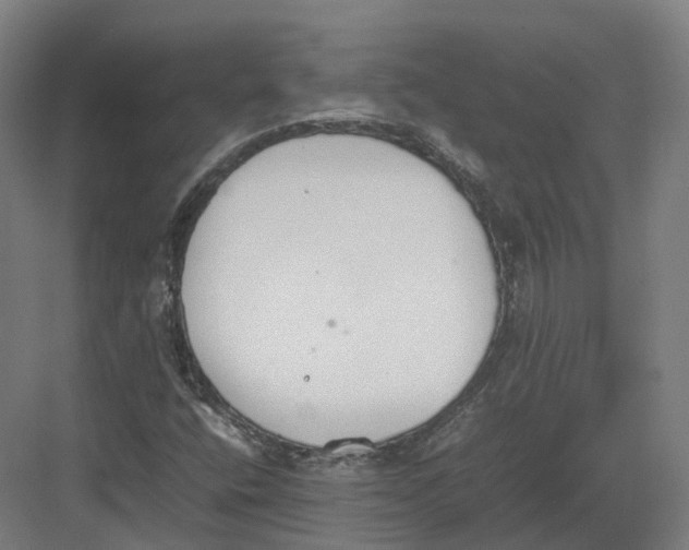 X0000082151400200702162156