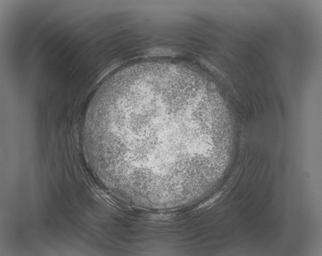 X0000082151401200702162156