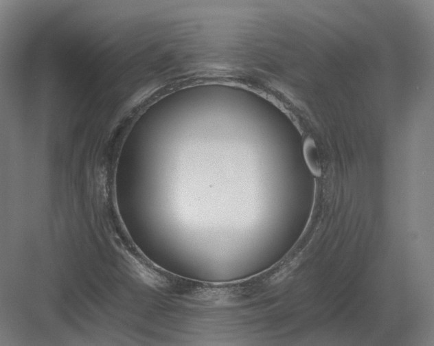 X0000082151402200702162156