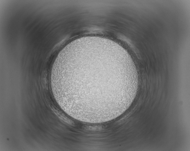 X0000082151403200702162156