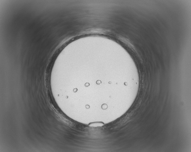 X0000082151404200702162156