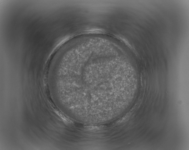 X0000082151405200702162156