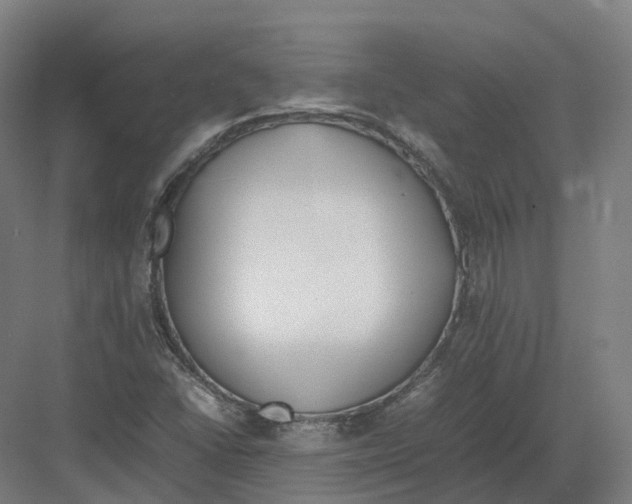 X0000082151406200702162156